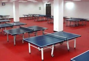 九龍坡乒乓球場地板膠
