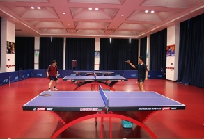 巴南乒乓球場地板