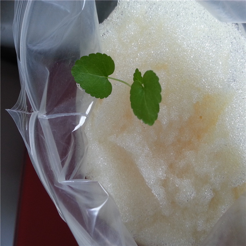 樹脂